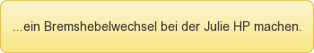 Bremshebelwechsel bei der Scheibenbremse Julie HP