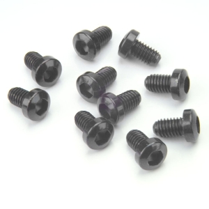 Magura Verschlussschraube HS33R, HS33, HS11, Gustav M, M6, T25 (10 Stück)